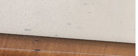 9lmXhNYOK75m6mJvtqdgBwZjIN3GJwRNgQ