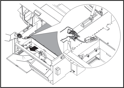 Wi918_FL4Mr0sR4iku0SsfRpvD--Eh6G-A