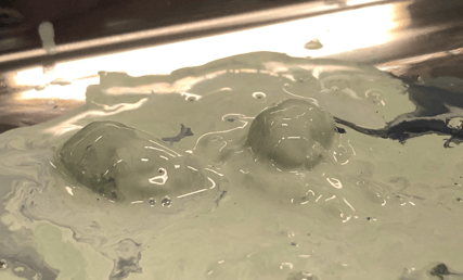 txkP8eqeMSg5P5p25DJVovcaJIJ4siVoqw